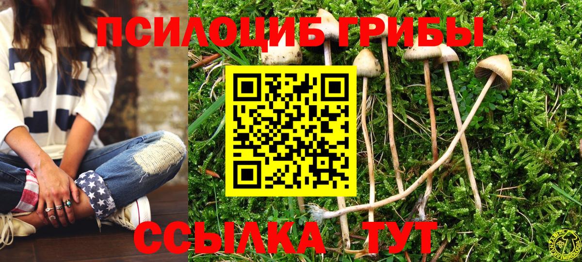 Галлюциногенные грибы Cubensis  Вход с VPN  Узловая  Псилоцибиновые грибы GOLDEN TEACHER 