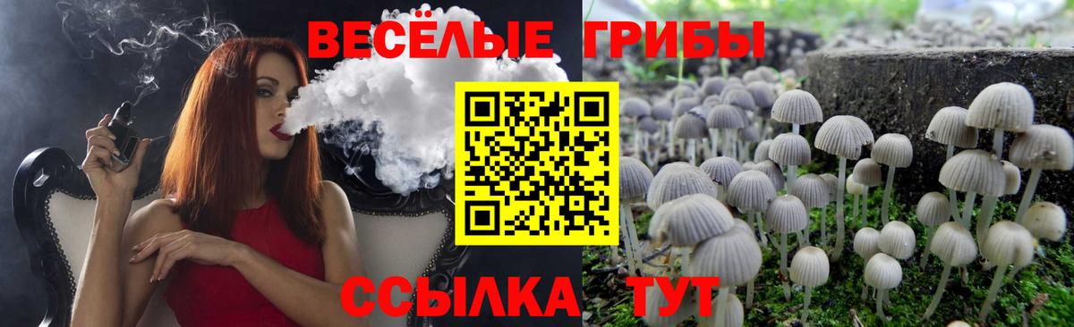Галлюциногенные грибы Cubensis Узловая